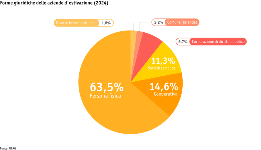 ab25-betrieb-strukturen-grafik-rechtsformen-sommerung-i.png