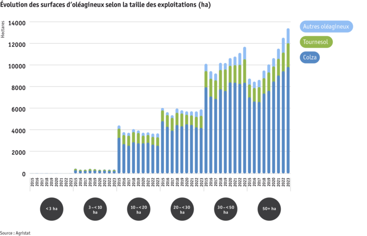 Zoom: ab24_datentabelle_grafik_flachenentwicklung_olsaaten_nach_betriebsgrosse_f.png