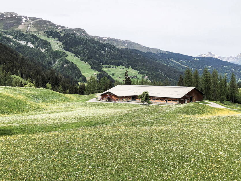 stall_fur_rauhfutterverzehrer-3.jpg stall_fur_rauhfutterverzehrer-3.jpg