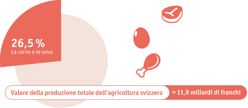 ab2024_maerkte_fleisch_und_eier_infografik_i.png ab2024_maerkte_fleisch_und_eier_infografik_i.png