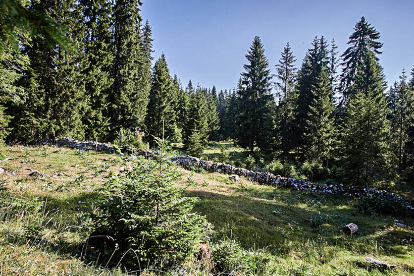 ab23_bild_landschaftsqualitatsbeitrage.jpg ab23_bild_landschaftsqualitatsbeitrage.jpg